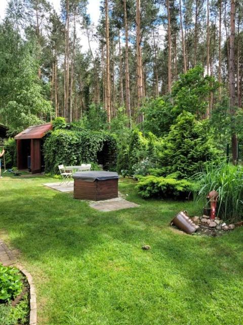 Dom Wakacyjny Merlin Nad Jeziorem Jodlow Slawa Radzyn Holiday home